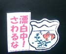 のりを使わない吸着シール