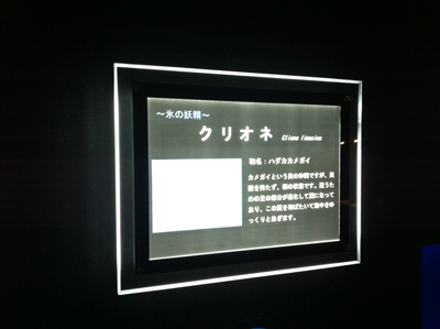 バックライトフィルム