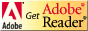AdobeReader�̃T�C�g��