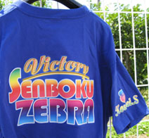 �A�C�����v�����g�p��