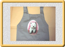 �A�C�����v�����g�p��