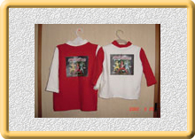 �A�C�����v�����g�p��