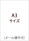 A4サイズ クリア