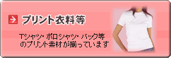 �v�����g�ߗ�