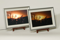 バックライトパネルと合わせた所