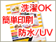 �p���̓���