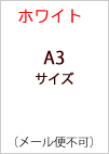 A4サイズ