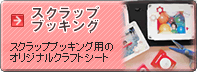 �X�N���b�v�u�b�L���O