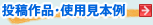���e��i�E�g�p���{��